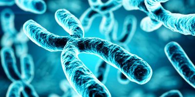 SCAN: a nanopore-based, cost-effective decision-supporting tool for mass screening of aneuploidies