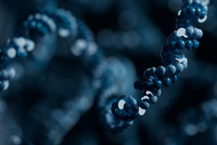 Targeted sequencing and iterative assembly of near-complete genomes