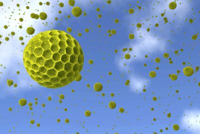 pollen grains against blue sky background