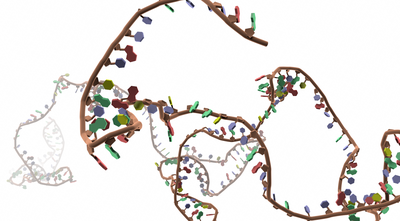 Free floating RNA strand on white background