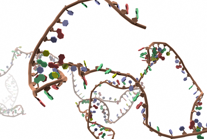 A novel method for the capture-based purification of whole viral native RNA genomes