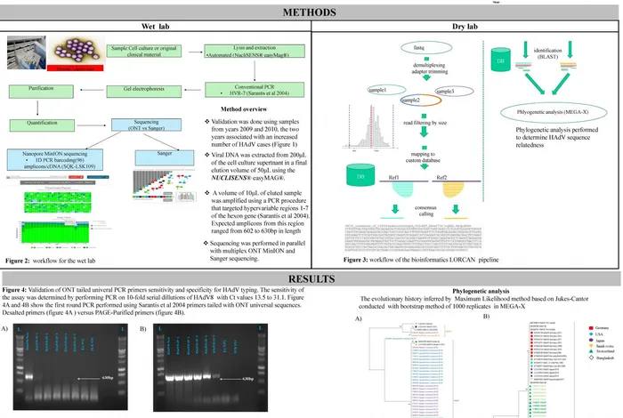 Validation and application of multiplex nanopore MinION sequencing for molecular typing of human adenoviruses in clinical samples: a cost effective sequencing strategy