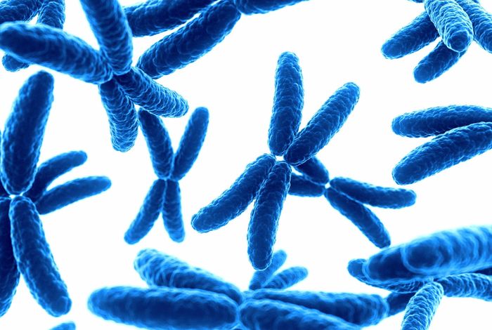 Third-generation single-molecule sequencing for preimplantation genetic testing of aneuploidy and segmental imbalances