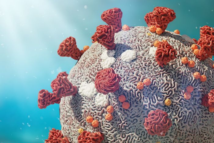 Virus Hunting with Oxford Nanopore Technologies