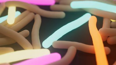 Visualisation of bacteria, glowing in several colours.