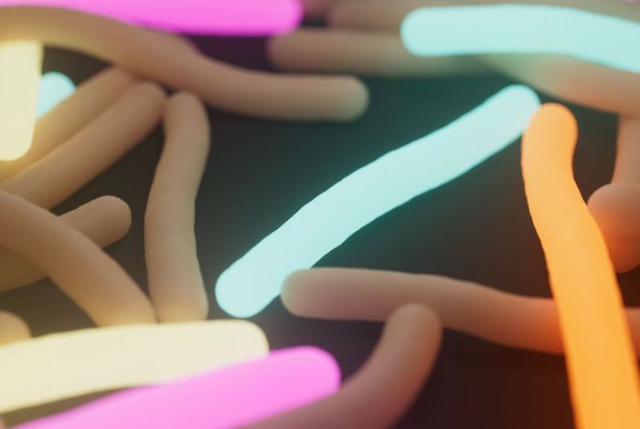 Case study: species-level profiling of environmental microbiota with high-accuracy full-length nanopore 16S sequencing