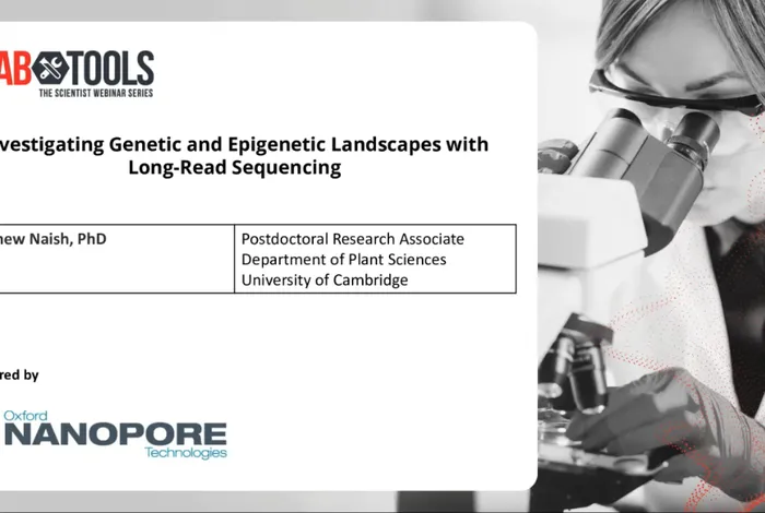 Investigating genetic and epigenetic landscapes with long-read sequencing