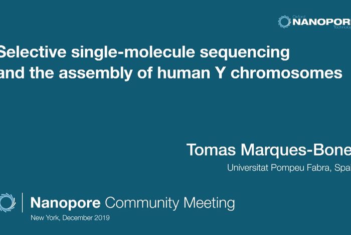 Selective single-molecule sequencing and the assembly of human Y chromosomes - Tomas Marques-Bonet