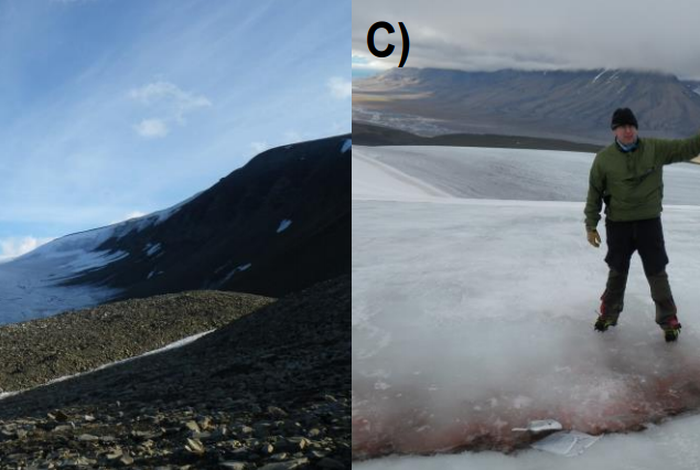 In-field metagenome and 16S rRNA gene amplicon nanopore sequencing robustly characterize glacier microbiota