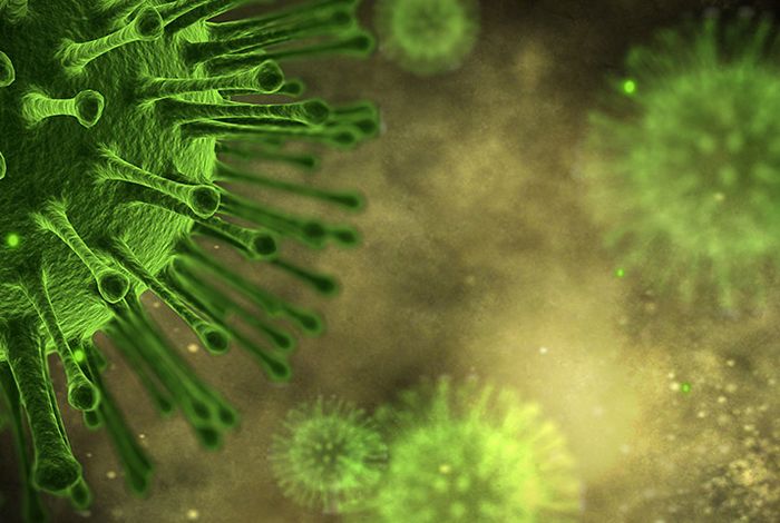 Rapid sequencing of RNA virus genomes