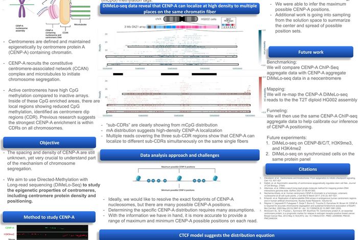 NCM 2022: Determination of the centromere protein A landscape at single-molecule resolution