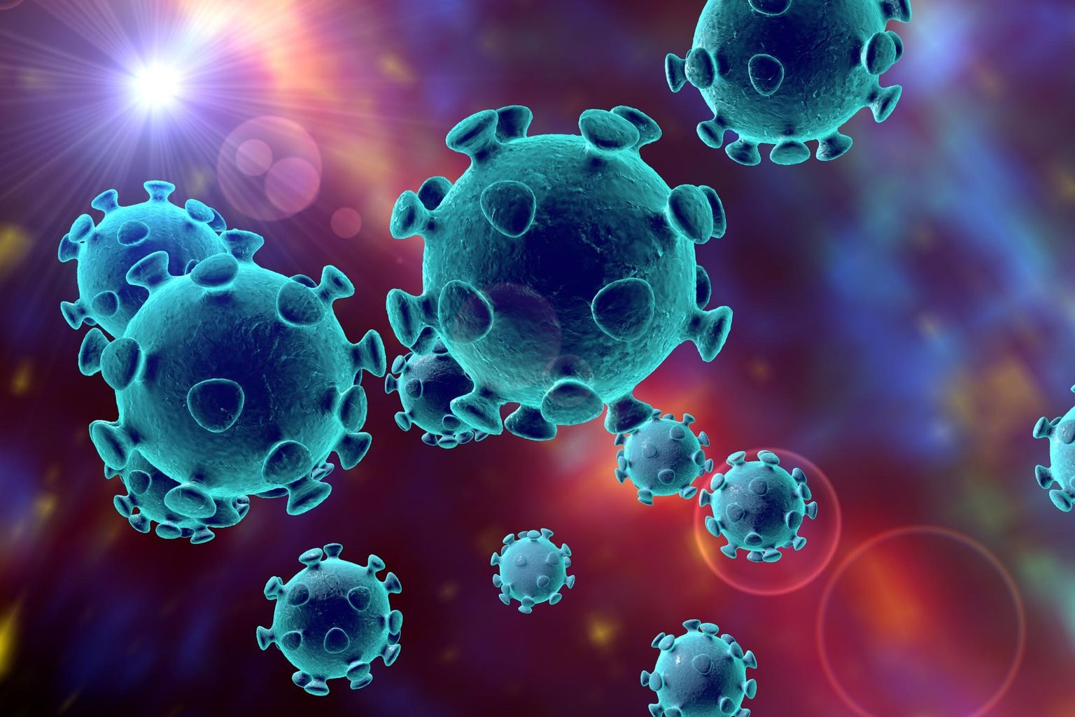 A novel Coronavirus from patients with pneumonia in China, 2019