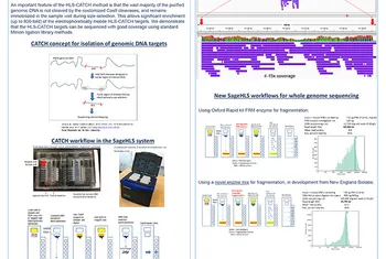 SageHLS CATCH Workflow for Targeted Nanopore Sequencing