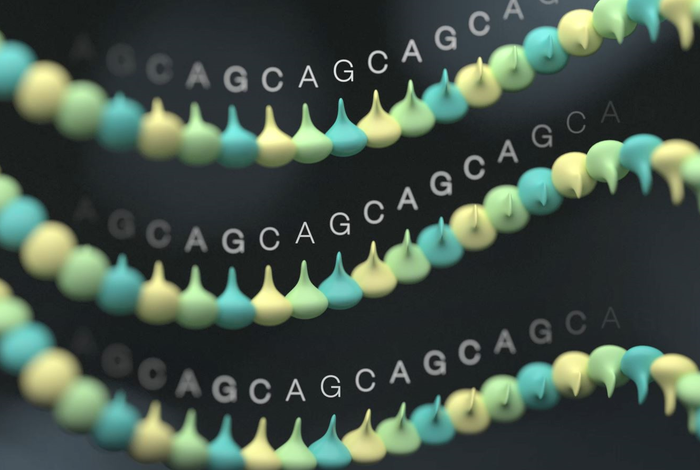 Visualisation and analysis of medically relevant tandem repeats in nanopore sequencing of control cohorts with pathSTR