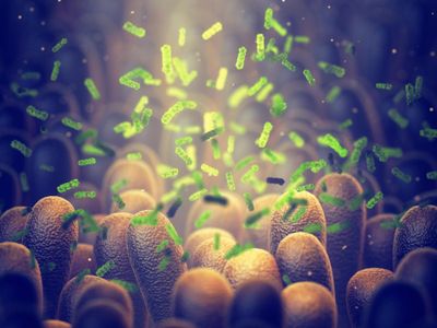 Gut microbiome dysbiosis and immune activation correlate with somatic and neuropsychiatric symptoms in COVID-19 patients