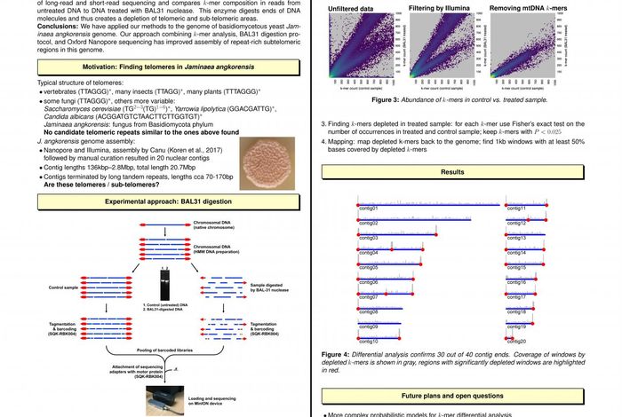 Enrichment analysis of k-mer composition enables identification of telomeres