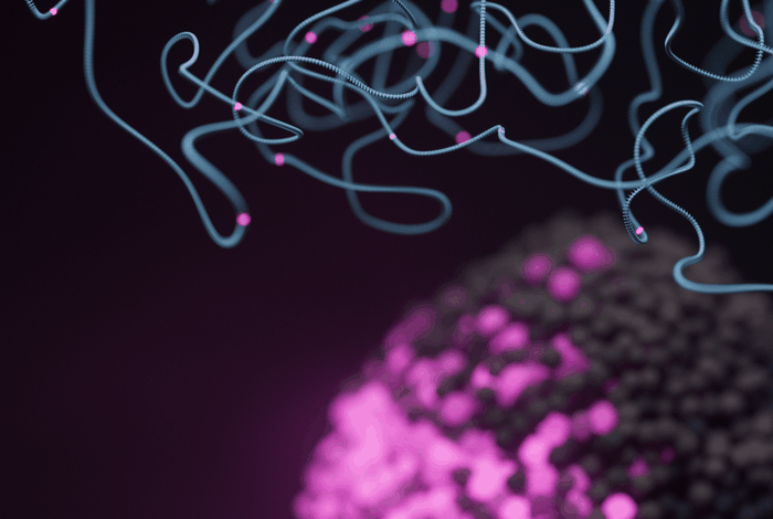 Workflow overview: tumour-normal sequencing