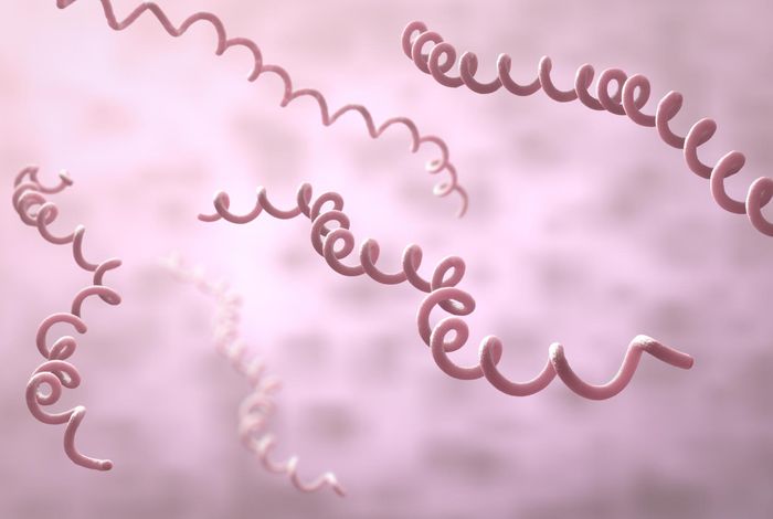 Whole genome sequencing of *Borrelia miyamotoi* isolate Izh-4: reference for a complex bacterial genome