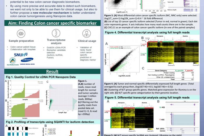 Transcriptome profiling of Korean colon cancer by cDNA PCR Nanopore sequencing