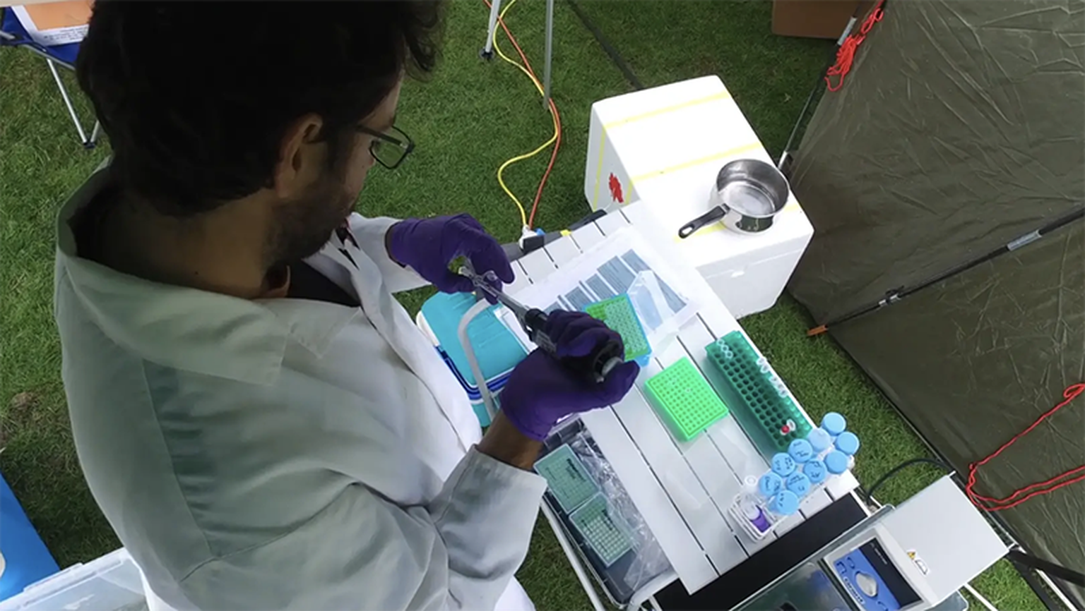 Real-time nanopore sequencing and analysis of plant genomes in the field using MinION