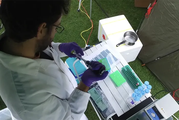 Real-time nanopore sequencing and analysis of plant genomes in the field using MinION