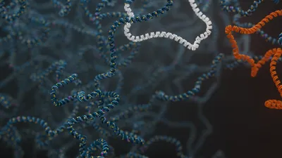 Visualisation of structural variants in a cancer genome