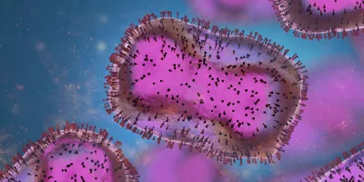 Ongoing mpox outbreak in Kamituga, South Kivu province, associated with monkeypox virus of a novel Clade I sub-lineage, Democratic Republic of the Congo, 2024