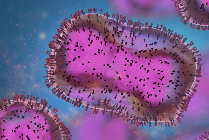 Ongoing mpox outbreak in Kamituga, South Kivu province, associated with monkeypox virus of a novel Clade I sub-lineage, Democratic Republic of the Con