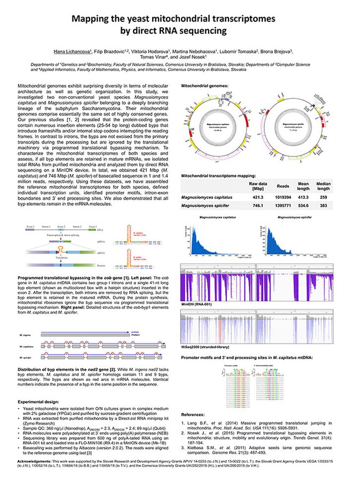Mapping the yeast mitochondrial transcriptomes by direct RNA sequencing