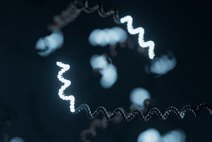 Case study: mapping RNA modifications in the human brain with full-length transcript sequencing