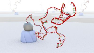 RNA approaching a nanopore