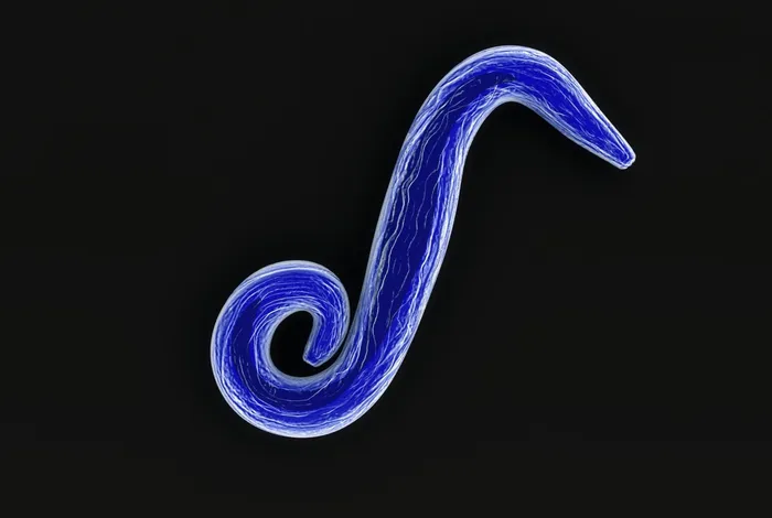 Using a mobile nanopore sequencing lab for end-to-end genomic surveillance of *Plasmodium falciparum*: a feasibility study