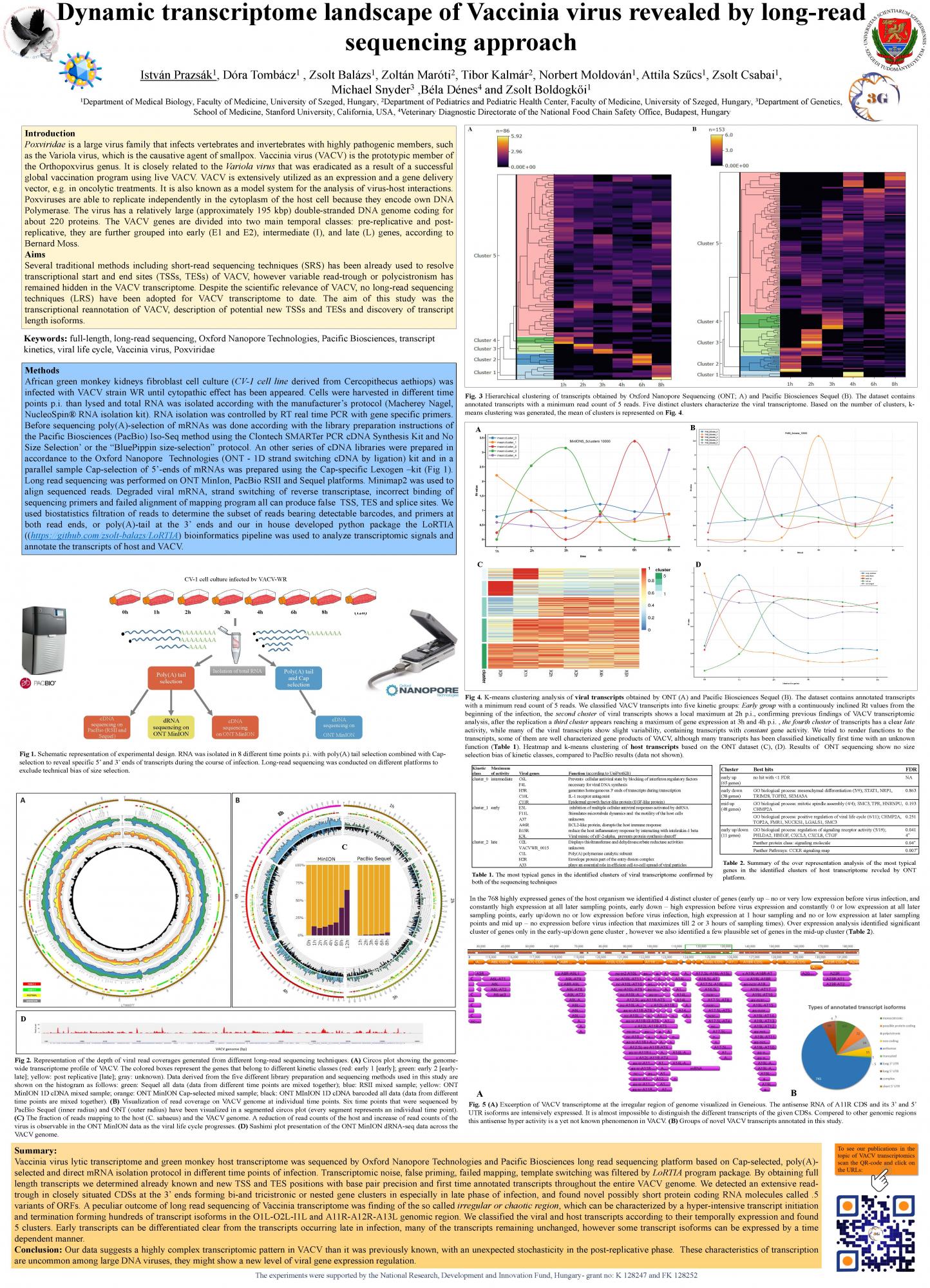 Transcriptome Dynamic Dynamic transcriptome landscape of Vaccinia virus revealed by long-read ...