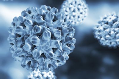 Multisite long-read sequencing reveals the early contribution of somatic structural variations to HBV-related hepatocellular carcinoma tumourigenesis