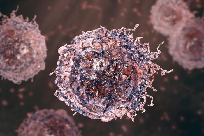 Circulating cell-free DNA methylation profiles enable disease-specific detection of Alzheimer's, Parkinson's, and ALS from blood