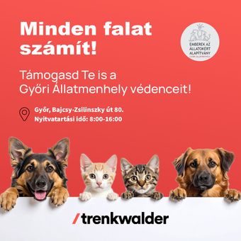 Minden falat számít!