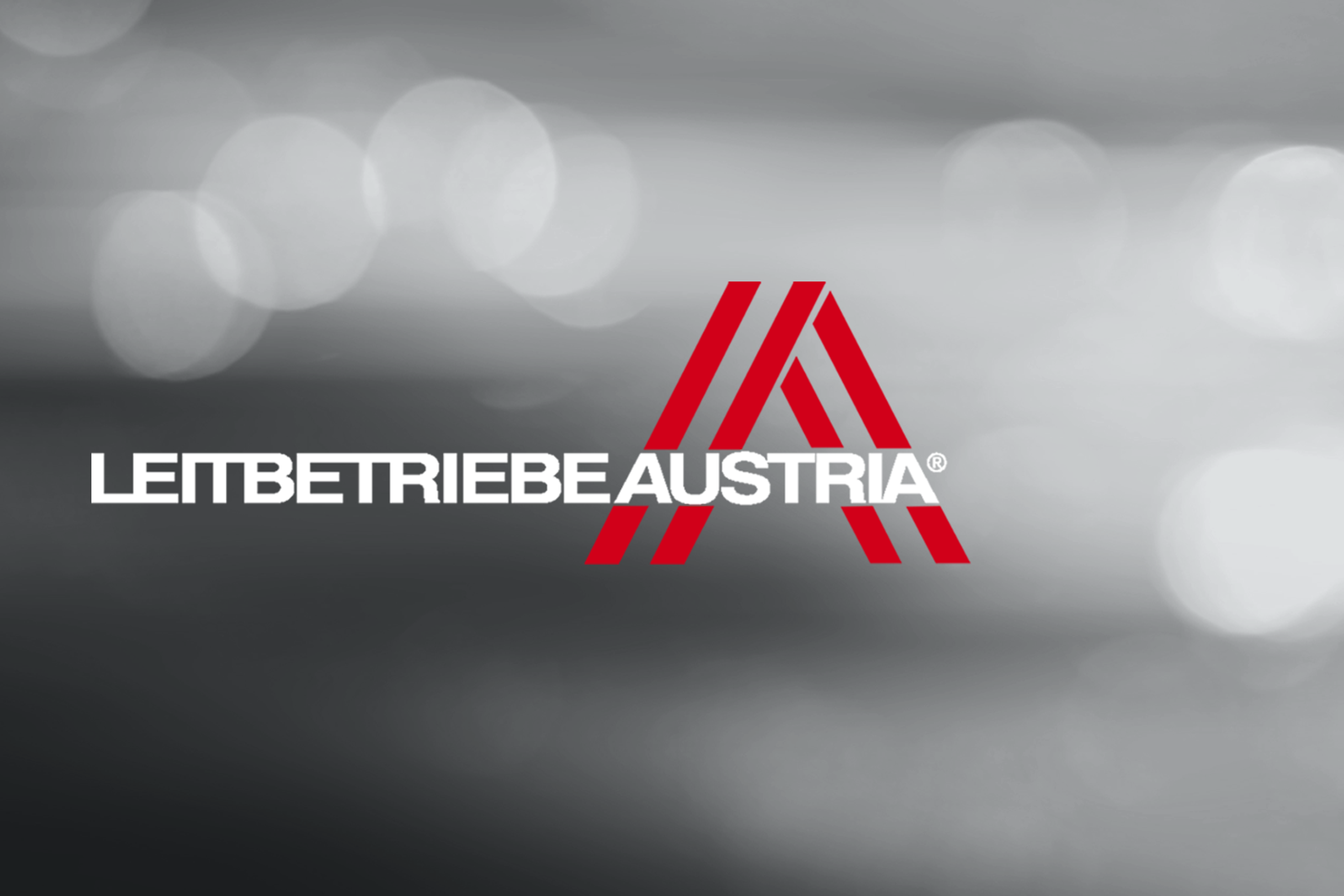 Recognized as a Leading Austrian Company