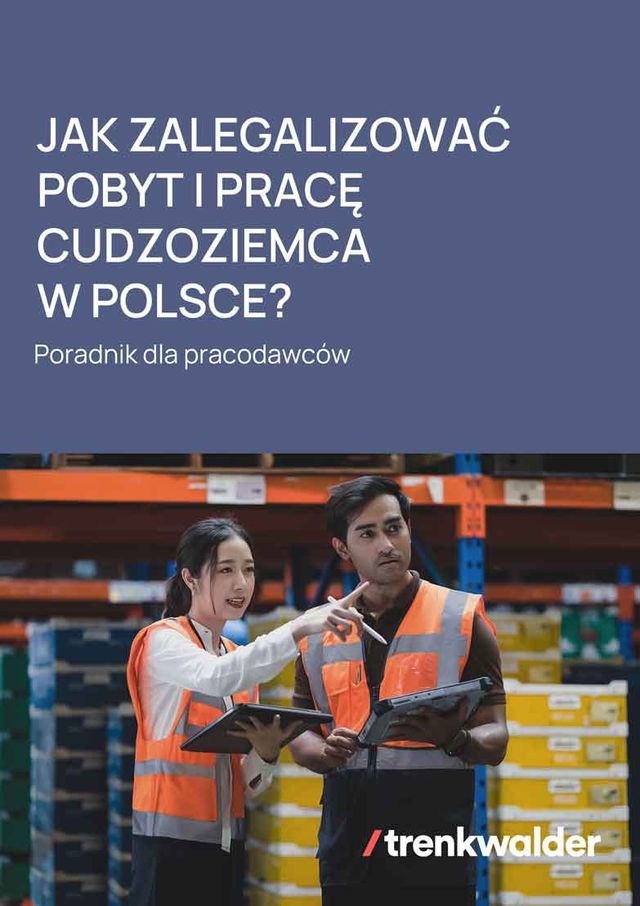 PDF preview