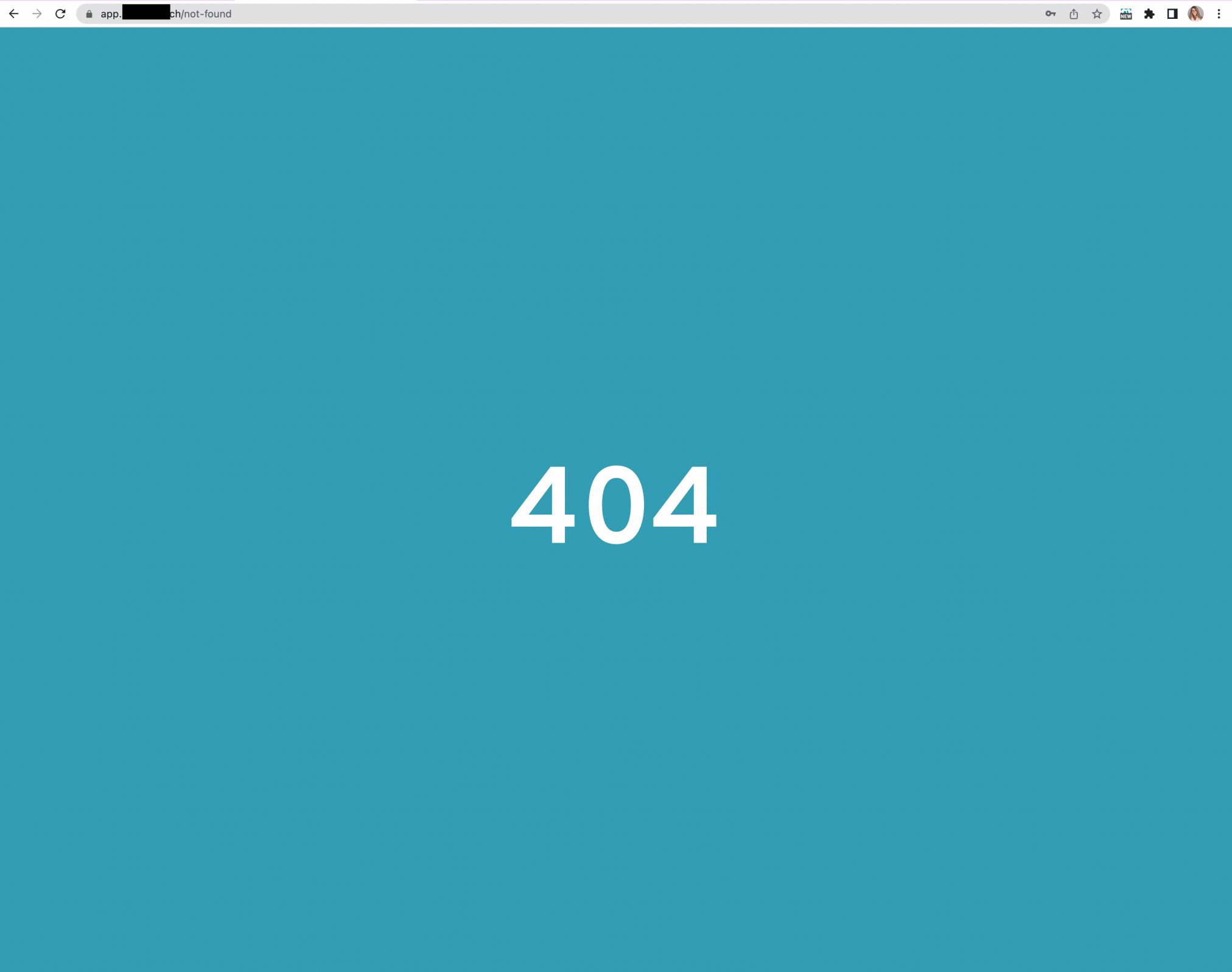 404 Error Seite