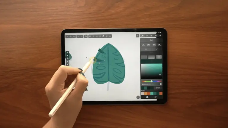 duplicate details of monstera leaf on ipad