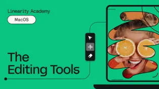 Learn Curve on Mac