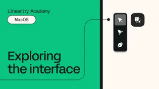 Learn Curve on Mac
