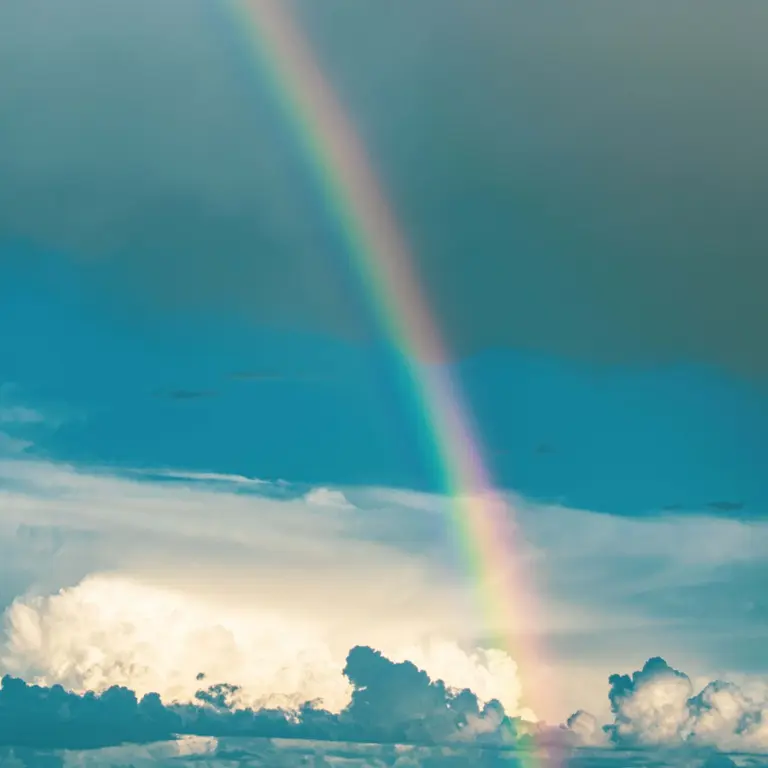 the_colors_of_the_rainbow_for_designers_image_1
