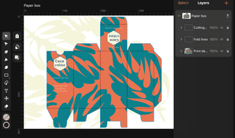 packaging made in vector illustration programs