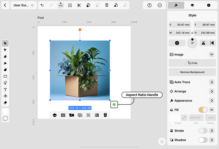 Resize Aspect Ratio Handle