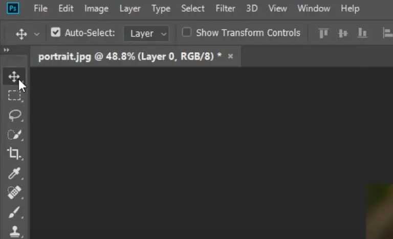 Design application interface
