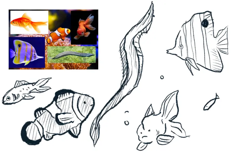 Fish Sketches