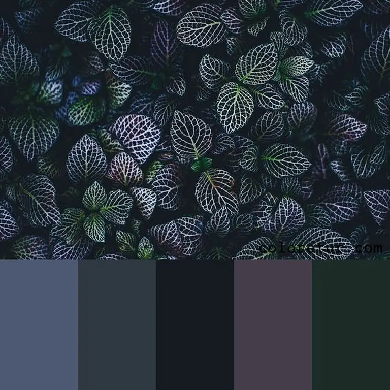 07e7a87e60035c4d130359ff66ffbb9b