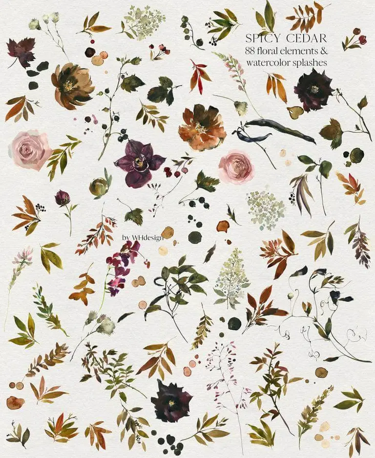 Watercolor flowers clipart