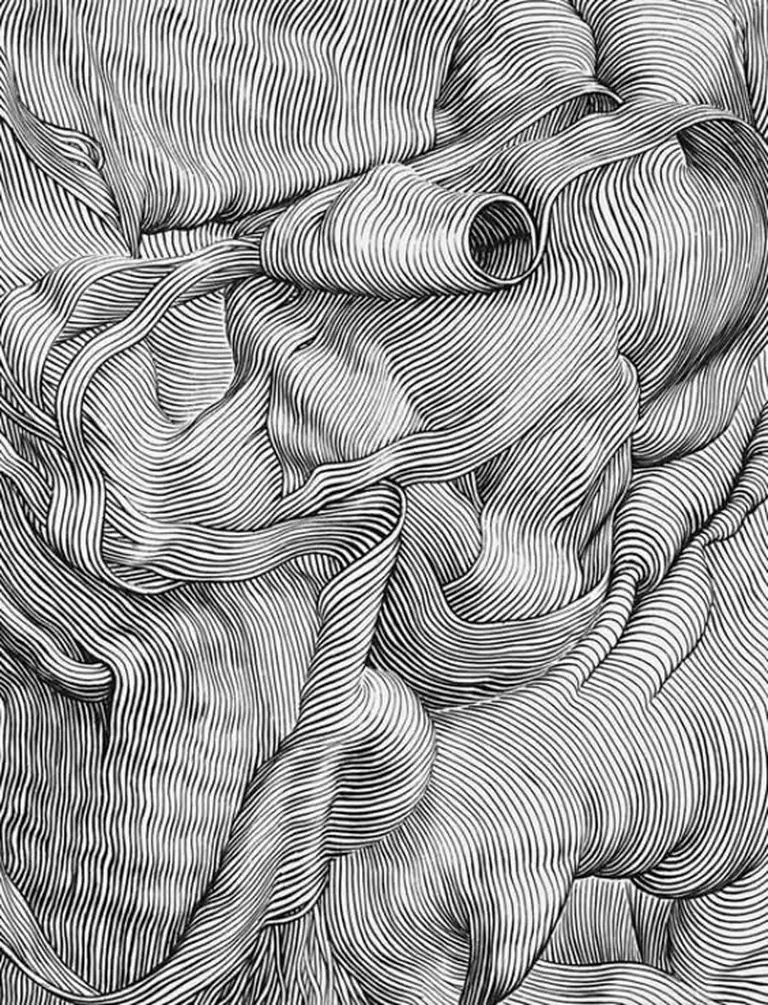 Abstract black-and-white drawing featuring wavy, flowing lines creating organic shapes and textures, resembling folds or draped fabric.